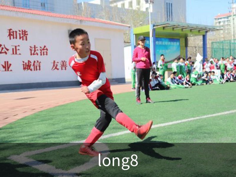 long8介绍